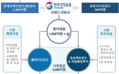 '핀테크 생태계 지원사격' 성장금융, 혁신펀드 4차 출자사업 나선다