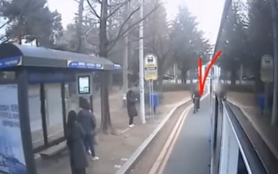 "버스기사 잘못이라고요?"…한문철 판단에 반기 든 누리꾼들 [아차車]