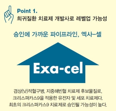  선택과 집중의 좋은 예, 버텍스파마슈티컬스