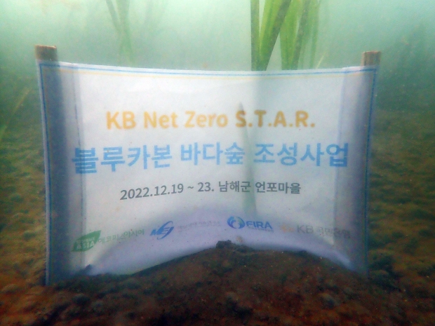 KB국민은행, 『KB Net Zero S.T.A.R. 블루카본 바다숲』 조성