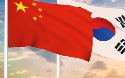 "한국인 81%, 중국에 부정적…반감 56개국 중 1위"