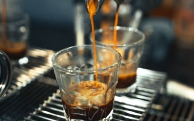 커피 소비, 2030년까지 '쭉'…저렴한 원두 인기 뜨거운 이유