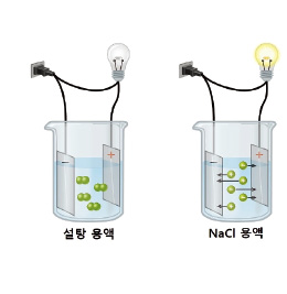 [과학과 놀자] 담백하고 감칠맛 나는 새우깡의 비밀은…