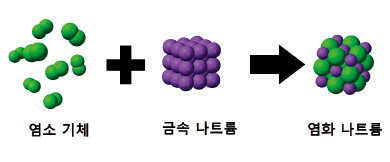 [과학과 놀자] 담백하고 감칠맛 나는 새우깡의 비밀은…