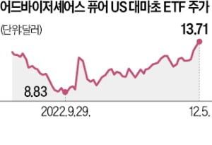 규제완화 기대감…대마초株 내달린다