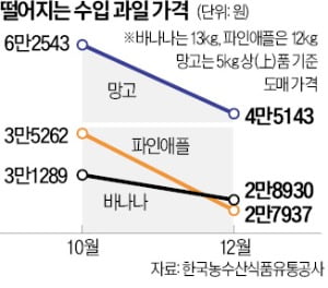 11년만에 0% 관세…바나나·망고 가격 꺾였다