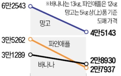 11년만에 0% 관세…바나나·망고 가격 꺾였다