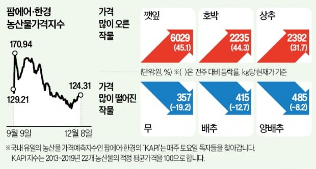 뚝 떨어진 기온에…깻잎·상추값 꿈틀