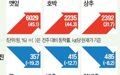 뚝 떨어진 기온에…깻잎·상추값 꿈틀