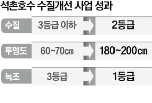 남몰래 석촌호수 되살린 롯데