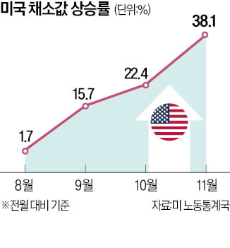 곡물·기름 가격 잠잠해지자 이번에는 美 채소 80% 급등