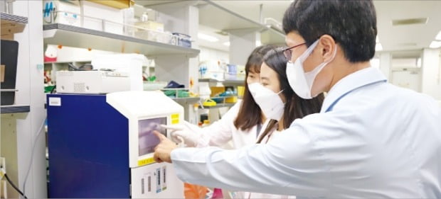 김용삼 한국생명공학연구원 책임연구원팀이 초소형 유전자가위 관련 실험데이터를 확인하고 있다. /생명연 제공
 