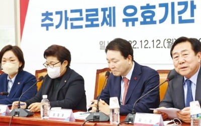 與 "추가근로제, 600만명 생존 걸려…일몰 연장해야"