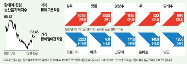 토마토값 약세…이달 초 따뜻한 날씨에 출하량 늘어