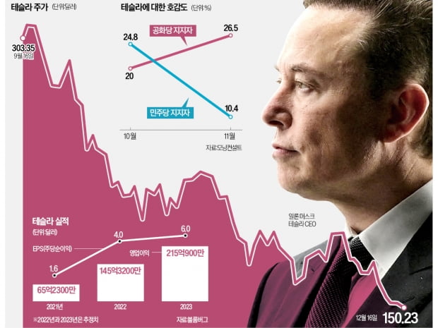 테슬라를 어찌할꼬…"팬덤 기반 흔들" vs "성장성 여전"