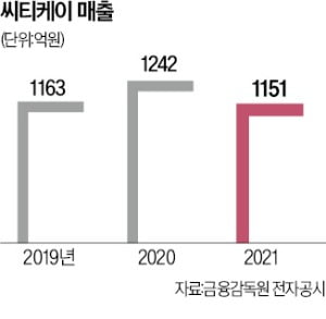 "원스톱 뷰티 플랫폼, 아프리카까지 홀렸다"