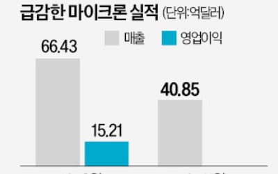 "내년말까지 불황"…메모리반도체 '적자 신음'