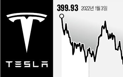 테슬라 공매도 결국 웃었다…"올해 150억弗 수익"
