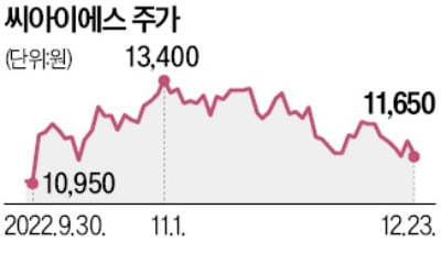  SFA, 2차전지 장비업체 CIS 인수