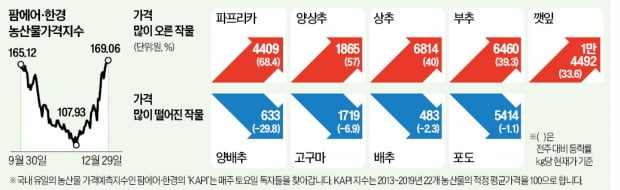 감귤값 상승세, 설까지 이어지나