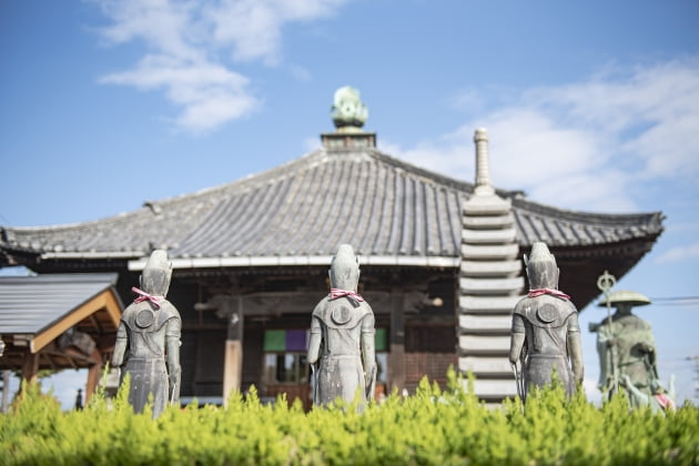 [김민수 여행작가]1200년 역사의 불교 순례길 ‘시코쿠 헨로미치’