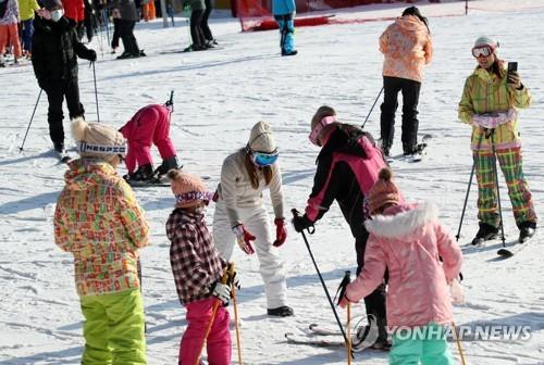 "겨울이 좋아"…스키장 북적·동백꽃 명소에도 나들이객 발길