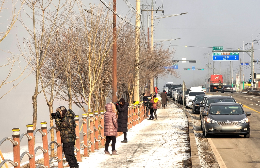 최강 한파에 은빛 왕국 변신한 춘천…소양강 상고대 '활짝'