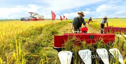 "식량난 北, 중국 통해 쌀 대량수입…내년 6월까지 50만t 계획"