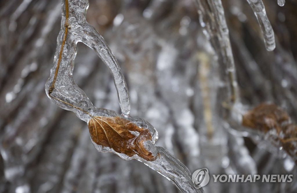 역대급 혹한 크리스마스…美 겨울폭풍에 30명 사망·무더기 결항