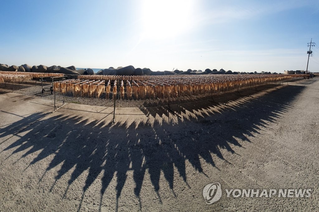 [새해 달라지는 것] 경북 학교급식 식품비 단가 인상…생활임금 도입