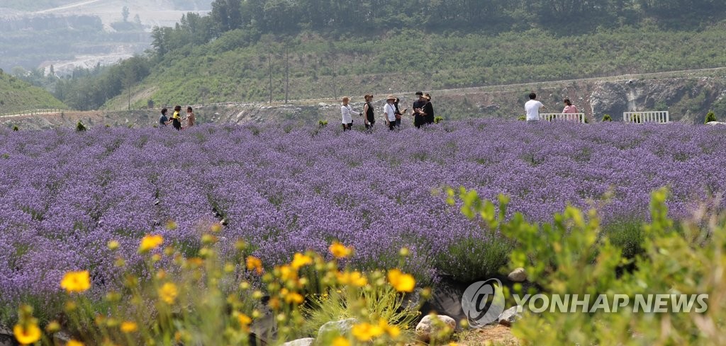 동해시 무릉별유천지, 국토부 지역개발사업 '최우수 사례' 선정