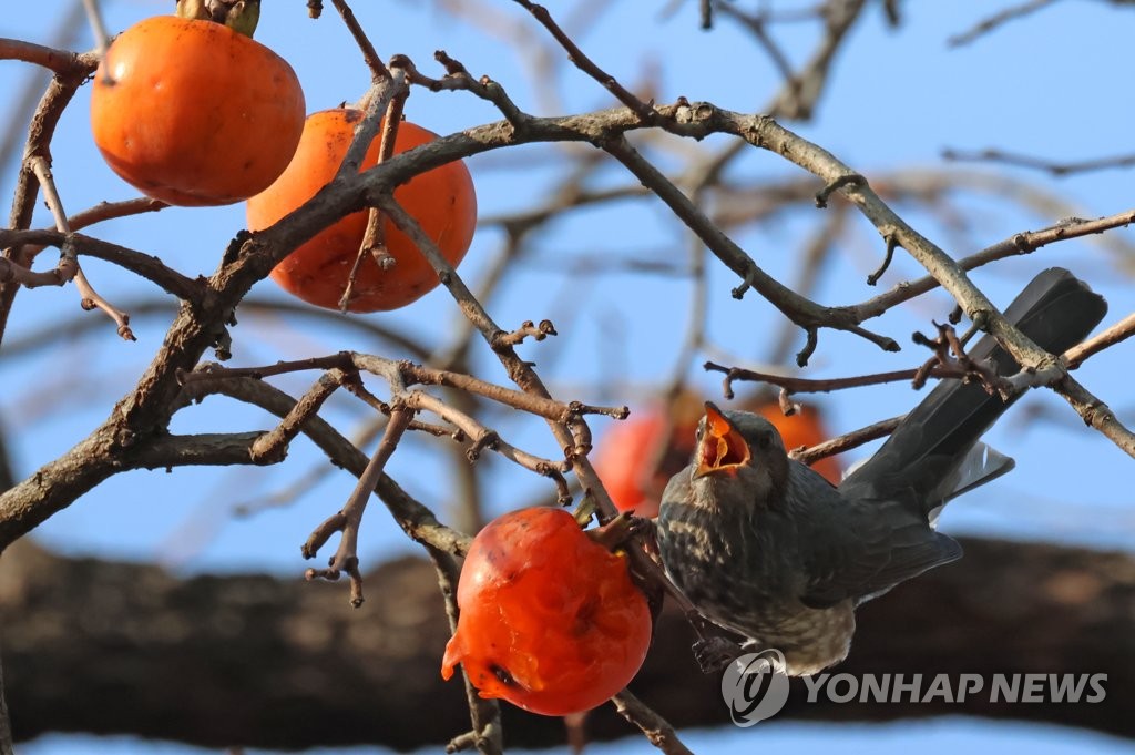 강한 바람 동반한 '맹추위'…낮 최고 0∼9도