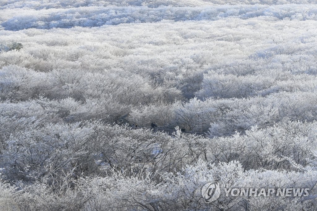 최강 한파·폭설에 피해 속출…하늘길·뱃길 점차 정상화(종합2보)