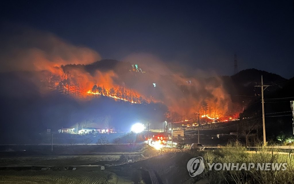 강원 대설·한파에 '미끌, 휘청'…강풍에 산불까지 '아찔'