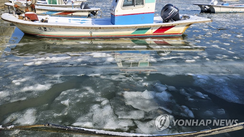 바다에도 찾아온 한파…해상 가두리 양식장 저수온 우려