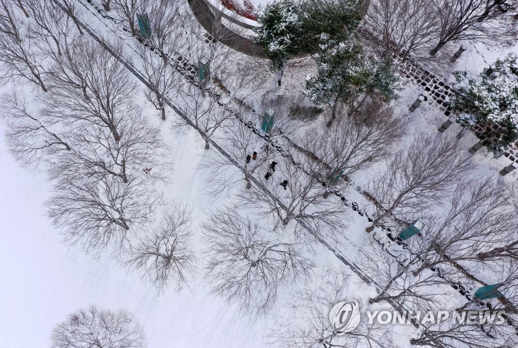 광주·전남 교통사고·낙상 잇따라…하늘·바닷길 통제(종합2보)