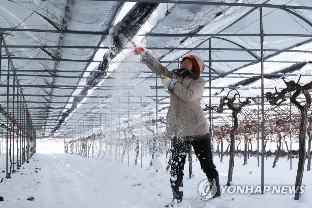 광주·전남 사흘간 40㎝ 역대급 폭설…일부 교통통제 지속