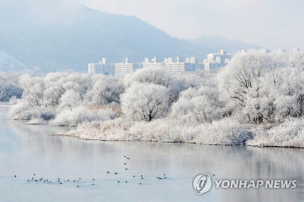 최강 한파에 은빛 왕국 변신한 춘천…소양강 상고대 '활짝'