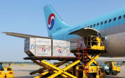 대한항공 A330 비행 중 엔진 이상…엔진 1개만 가동 '인천 착륙'