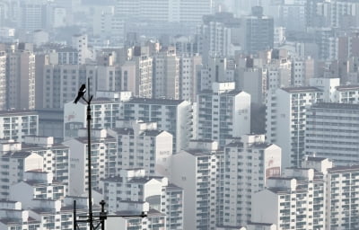 재산세, 저소득층에 상대적 큰 부담…"소득재분배 효과 없어"