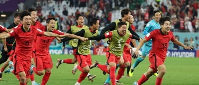 "한국 8강 가능성, 16개국 중 꼴찌"라지만…축구공은 둥글다 [카타르 월드컵]