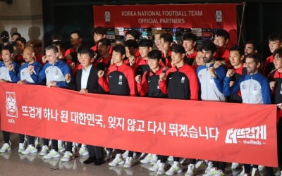 '캡틴 조로'부터 '한반두'까지…월드컵에 들썩인 한국 [이슈+]