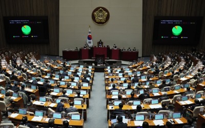 '코인 과세' 2년 유예…여야, 法개정안 본회의 통과