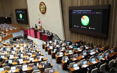 [속보] 年매출 5000억 미만 가업상속공제법 본회의 통과