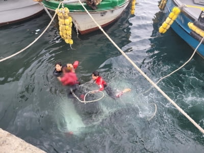 제주 한림항서 차량 바다 추락…운전자 해경이 구조