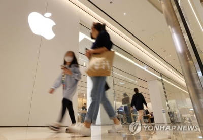 애플 "앱스토어 입점 개발사 수수료 실부담 3％P 인하"