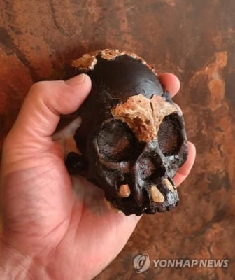 체중 25㎏ 감량 끝에 찾은 초기 인류  호모 날레디 불 사용 증거