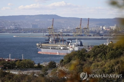 "러시아, 유가 상한제 '맞불'로 3가지 선택지 검토"(종합)