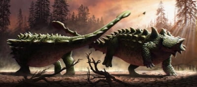 초식공룡 '안킬로사우루스' 동족 간 싸움에도 꼬리 끝 망치 동원