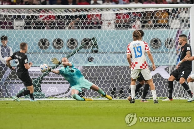 [월드컵] FIFA, 크로아티아 팬들의 캐나다 GK 비난에 7000만원 벌금 징계